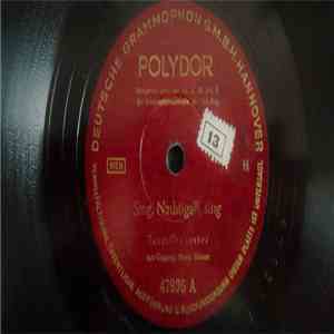 Horst Winter Mit Seinem Orchester - Sing, Nachtigall, Sing / Lass`dein Herz ...