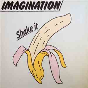 Imagination  - Shake It