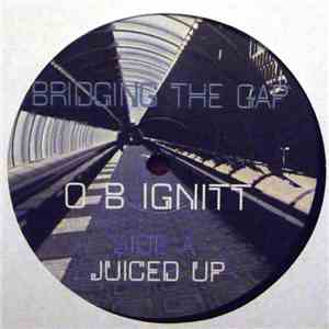 O B Ignitt - Bridging The Gap