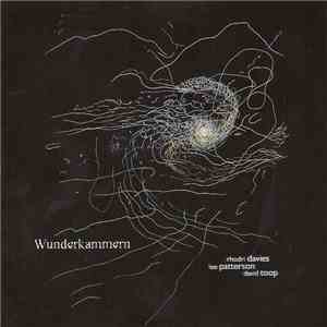 Rhodri Davies / Lee Patterson / David Toop - Wunderkammern