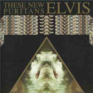 These New Puritans - Elvis
