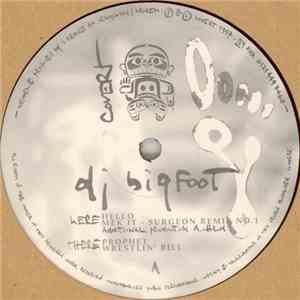 DJ Bigfoot - Hello