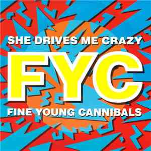 Fine Young Cannibals - She Drives Me Crazy