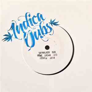 Indica Dubs & Conscious Sounds - Skywalker Dub