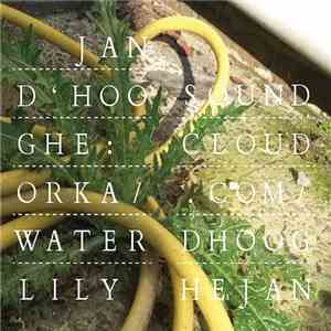 Jan D'Hooghe - Orka / Waterlily
