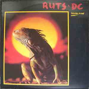 Ruts DC - Animal Now