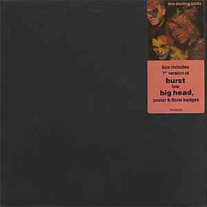 The Darling Buds - Burst