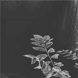 Various - 12 04 15