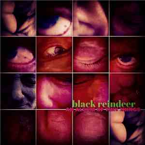 Black Reindeer - An Album Of Tiny Things