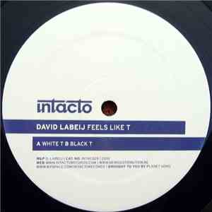David Labeij - Feels Like T