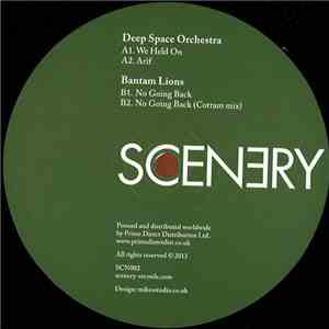 Deep Space Orchestra / Bantam Lions - We Held On