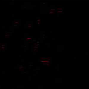 Remute - HS