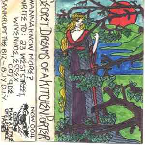 Stray Trolleys / Cleaners From Venus - Secret Dreams Of A Kitchen Porter