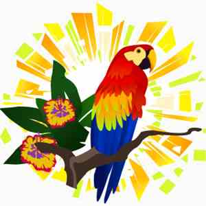 Various - Thermogenic Syncopations: Tropical Riddim Trip