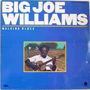 Big Joe Williams - Walking Blues