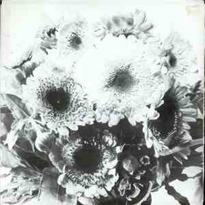The Marigolds - I've Had Enough