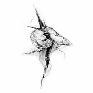 Broken Thoughts - Indispensable Insignificances