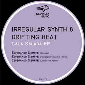 Irregular Synth & Drifting Beat - Cala Salada EP