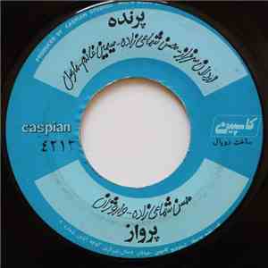 حسن شماعی‌زاده - پرنده / پرواز