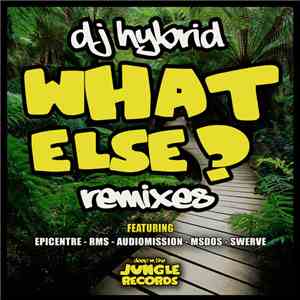 DJ Hybrid - What Else? Remixes