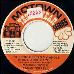 Marvin Gaye & Tammi Terrell - If I Could Build My Whole World Around You /  ...