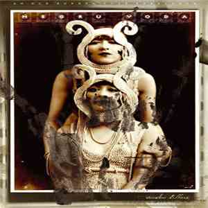Negru Voda - Voodoo Killers