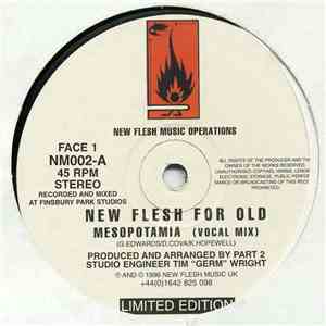 New Flesh For Old - Mesopotamia