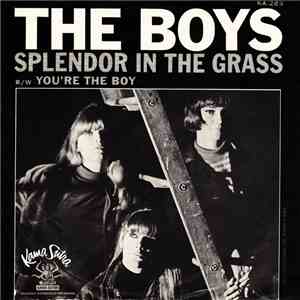 The Boys  - Splendor In The Grass