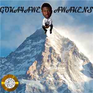 Goka4awe - Goka4awe Awakens