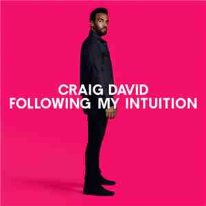 Craig David - Following My Intuition