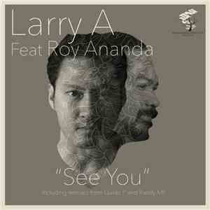 Larry A Feat. Roy Ananda  - See You