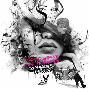 We Rabbitz Ft. Chelsea Collins - I Don't Wanna Live Forever (Fifty Shades D ...