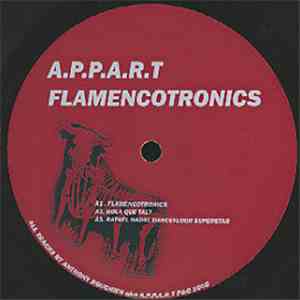 A.P.P.A.R.T - Flamencotronics