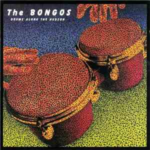 The Bongos - Drums Along The Hudson