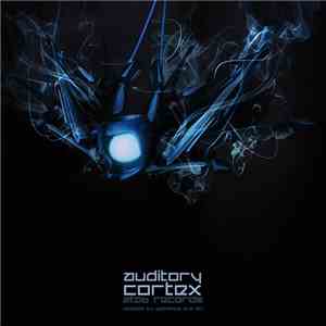 Yaminahua And Airi - Auditory Cortex