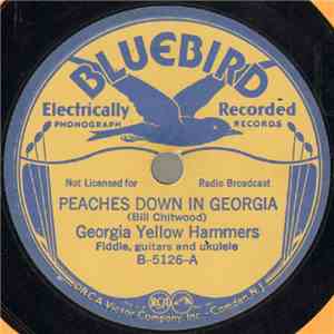 Georgia Yellow Hammers - Peaches Down In Georgia / White Lightning
