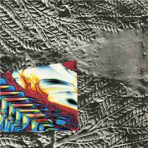 DSR Lines - Delta Wave / Broken Gong