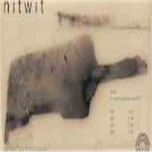 Nitwit - Are You Sure This Is Sound