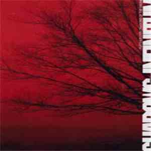 Various - Shadows Infinitum