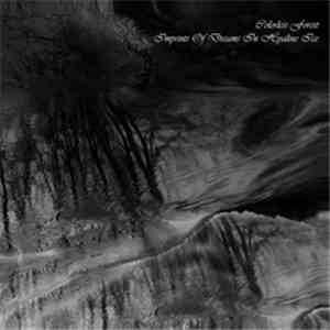 Colorless Forest - Imprints Of Dreams In Hyaline Ice