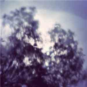 David Andree - On Gathering
