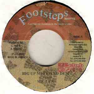 Mr. Lex / Patchy - Big Up Mi Friend Dem / Hot Love