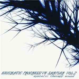 Various - Enigmatic Progressive Sampler Vol.2