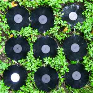 Anton G. Leitner  &  Andreas Lechner  &  Gerhard Stäbler  &  Kommissar Hjul ...