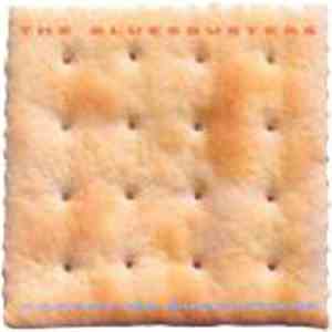 Bluesbusters , The - Accept No Substitute