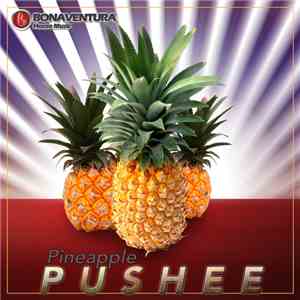 Pushee - Pineapple