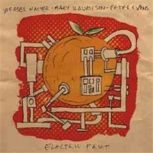 Weasel Walter | Mary Halvorson | Peter Evans  - Electric Fruit