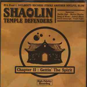 Shaolin Temple Defenders - Chapter 2 : Gettin' The Spirit