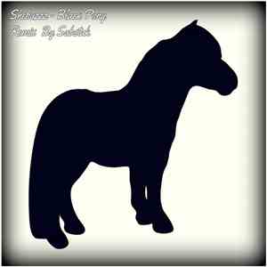 Shebuzzz - Black Pony