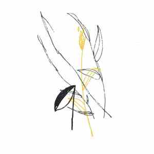 Benoit Pioulard - Slow Spark, Soft Spoke